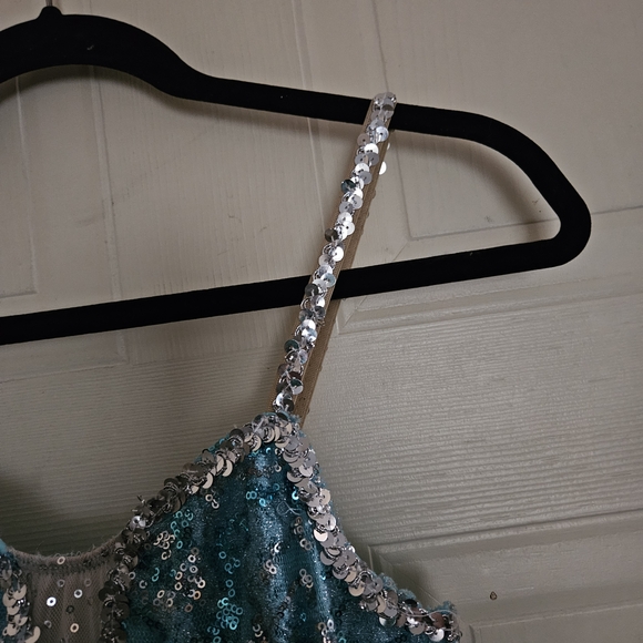 Women/Teens Sparkling Blue Princess/Fairy/Ballet Costume - Picture 6 of 13